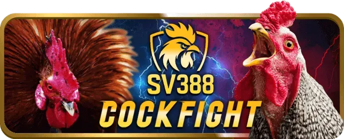 Đá gà pg666 chính thức