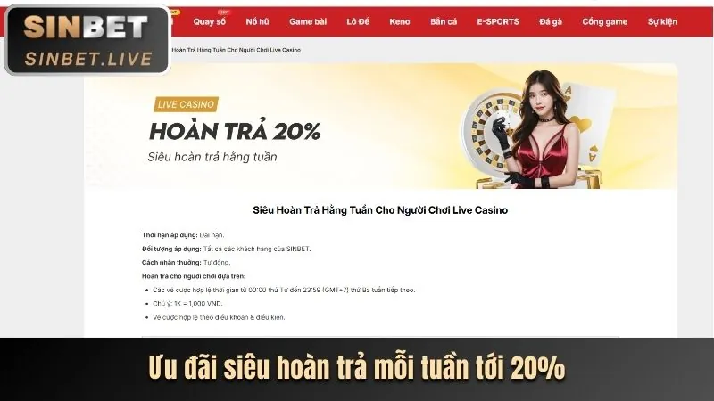 Đa dạng lựa chọn